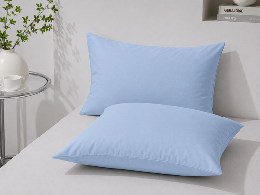 Coussin bleu